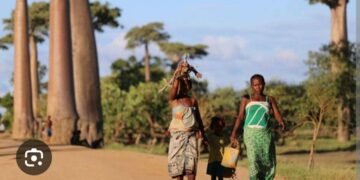 Africa Climate Summit 2: Time to Deliver on Africa’s Climate Promises