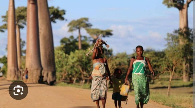 Africa Climate Summit 2: Time to Deliver on Africa’s Climate Promises