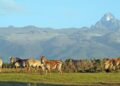 Reimagining tourism for Uganda’s green future