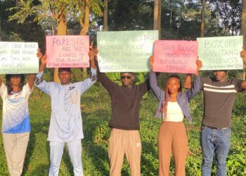 Preserve Kitubulu central forest reserve to save the environment