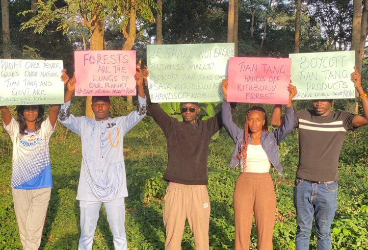 Preserve Kitubulu central forest reserve to save the environment