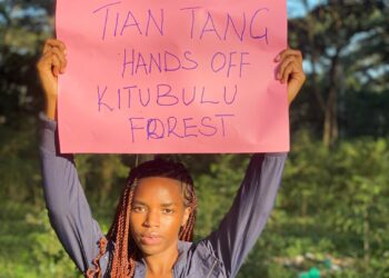 Preserve Kitubulu central forest reserve to save the environment