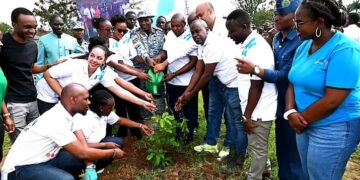 Youth Go Green, TOA-Uganda Launch National Green Schools and Restoration Initiative Targeting 20 Million Trees by 2030