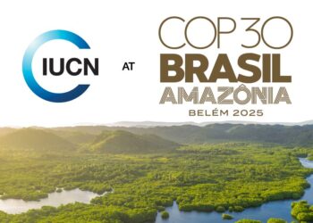 It’s time for Uganda to align its investments with nature and climate goals