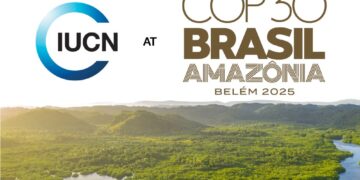 It’s time for Uganda to align its investments with nature and climate goals