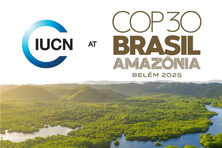 It’s time for Uganda to align its investments with nature and climate goals