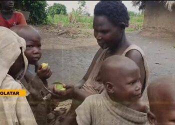At 33, Akoli Has 12 Children, No Food to Feed Them