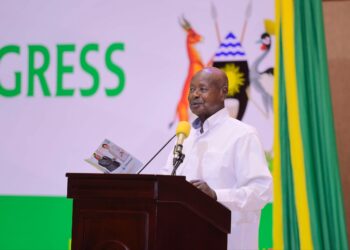 Minister Balaam Faces Backlash as Youth Protest Missing Funds at Afro-Arab Conference