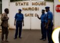 ‘Satan told me to do it,’ says man who speared State House guard