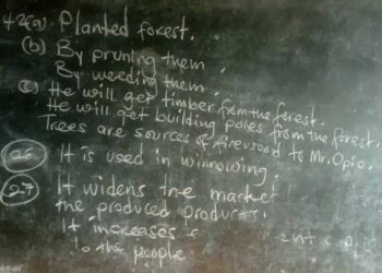 Teachers, UNEB Officials Nabbed Over PLE Malpractice in Greater Masaka