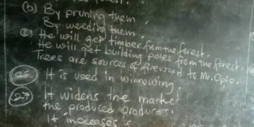 Teachers, UNEB Officials Nabbed Over PLE Malpractice in Greater Masaka