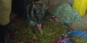 Woman Arrested After Police Recover Stolen Coffee From Her Home