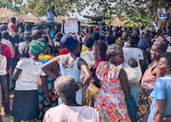 Nandala Mafabi Pledges Revival of Cotton Industry, Livestock Compensation in Apac