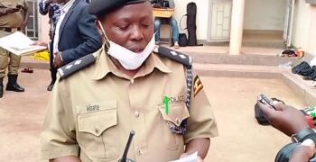 Two teenagers Arrested Over Assault Following Pig Theft Accusations