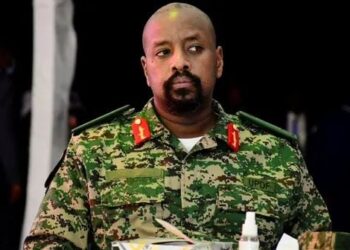 Muhoozi Again Plunges Uganda into International Fury with US