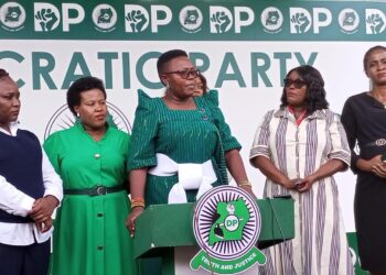 DP Challenges Government on Education Standards, Street Vendor Ban