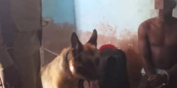 Security guard in Mukono tips off police leading to the arrest of suspects in connection with vandalism of electricity infrastructure