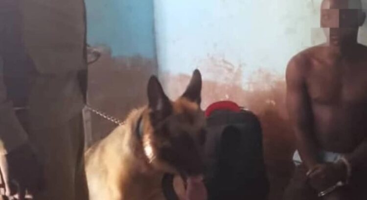 How Mukono Guard’s Tip-Off Led to Arrest of Electricity Vandals