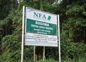 Bugoma Forest Boundary Report Delay Fuels Destruction