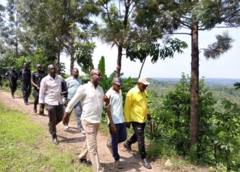 Uganda’s Forests Hold the Key to the Future, Urgent Action Needed