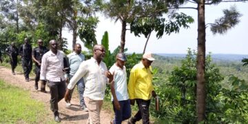 Uganda’s Forests Hold the Key to the Future, Urgent Action Needed