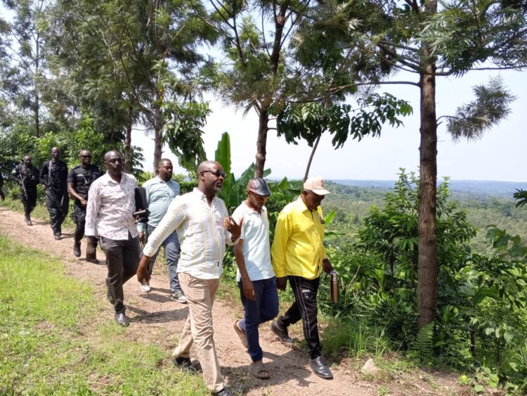 Uganda’s Forests Hold the Key to the Future, Urgent Action Needed