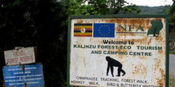 International Day of Forests: Securing Uganda’s Forests for Economic Survival is vital