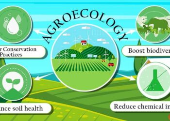 Women Driving Change for a Sustainable Tomorrow