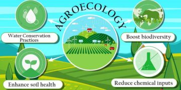 Women Driving Change for a Sustainable Tomorrow