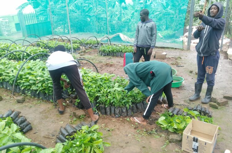 The Critical Role of Women in Energy Transition and Agroecology