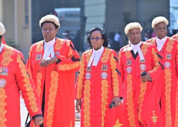 Constitutional Court Nullifies Computer Misuse Act