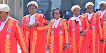 Constitutional Court Nullifies Computer Misuse Act