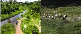 Vanishing Wetlands, Rising Floodwaters: Uganda’s Looming Environmental Crisis