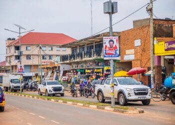 The Lira We Knew, and the City We Found