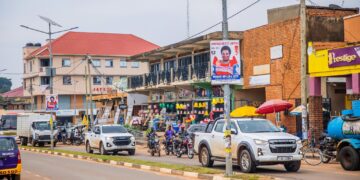 The Lira We Knew, and the City We Found