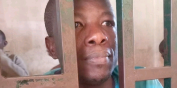 Journalist remanded over ‘false’ report on First Lady’s death