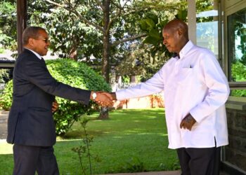 Kikwete, Museveni Meet Over South Sudan Crisis