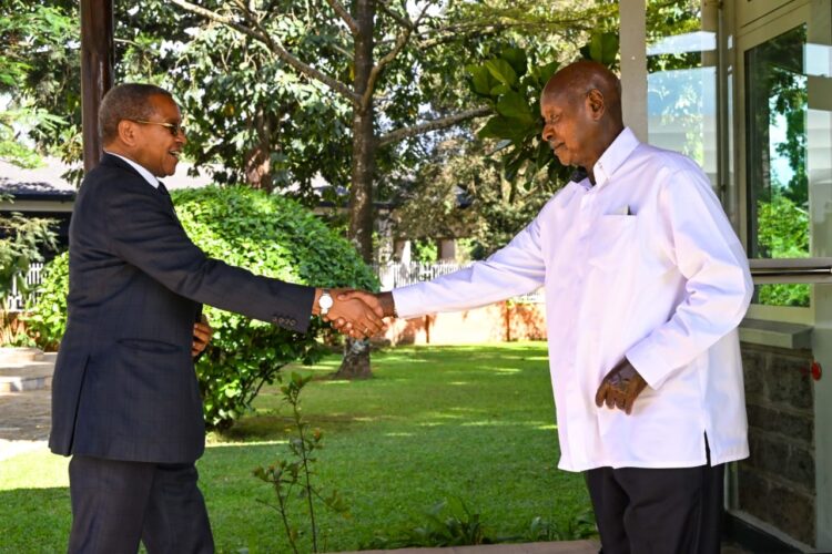 Kikwete, Museveni Meet Over South Sudan Crisis