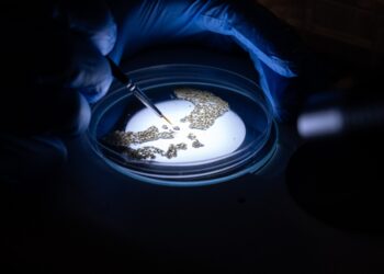 Ugandan Scientists Spotlight Gene Drive Research as Malaria Fight Stalls