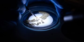 Scientists Spotlight Gene Drive Research as Malaria Fight Stalls